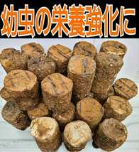 カブトムシ幼虫の栄養強化に☆椎茸廃菌床【8ブロック】発酵マットに埋め込むと幼虫が潜り込みモリモリ食べて大きくなる！クヌギ100％原料_画像1