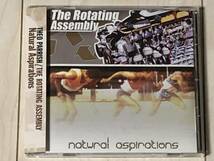 The Rotating Assembly（Theo Parrish）セオ・パリッシュ / Natural Aspirations ☆ Sound Signature、Rick Wilhite、Andres、帯付き美品！_画像1