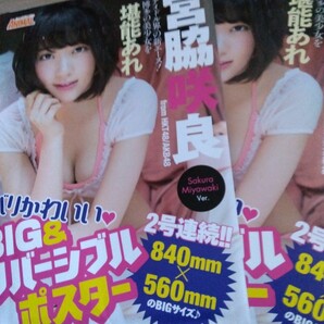 宮脇咲良 山本茉央 渕上舞 AKB48 HKT48 グラビア ポスター アイドル グッズ 2枚セット 非売品 雑誌付録