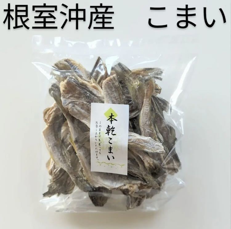 大好評 前浜するめ足