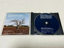 Teenage Fanclub★ティーンエイジファンクラブ ★Songs From Northern Britain★UKインディー★Norman blake★Gerard love★ギターポップ_画像2