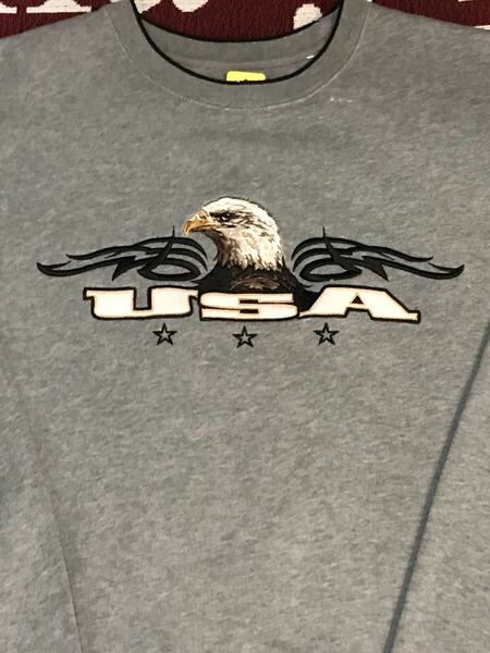 Bald Eagle USA スウェット　刺繍　イーグル　アメリカ　アメリカ　ビンテージ　コールズ　ストリート　スケート　ビッグサイズ　古着