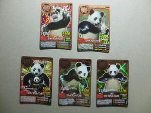  Hyakujuu Taisen Animal Kaiser золотой рамка-оправа карта ja Ian to Panda 5 шт. комплект A-A-1
