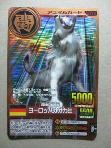  Hyakujuu Taisen Animal Kaiser gold frame card Europe oo kamiA-A-1