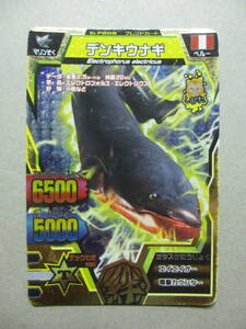  Great Animal Kaiser biga-kila card electric eel A-A-5