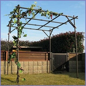 [ new goods free shipping ] fruit tree shelves set width approximately 2m× depth approximately 2m× height approximately 2m( earth middle 50cm embedded hour )