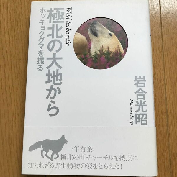 極北の大地から ホッキョクグマを撮る／岩合光昭 (著者)