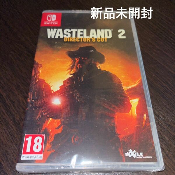 Wasteland 2 switch ソフト★新品未開封★輸入版