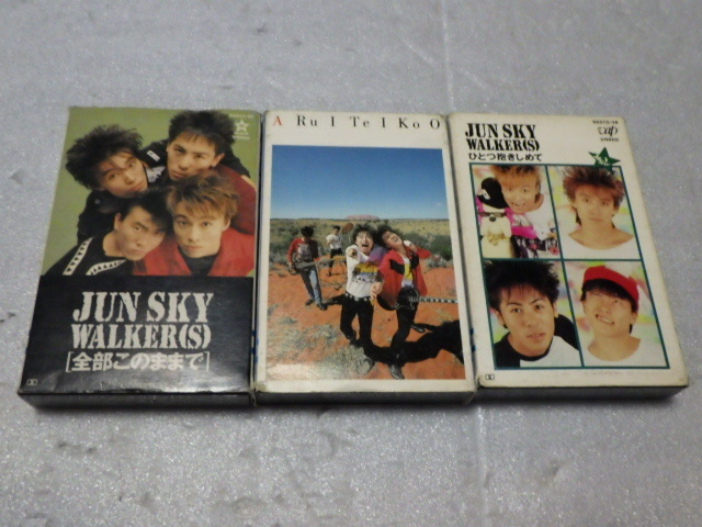 ヤフオク! -「jun sky walker(s)」(カセットテープ) の落札相場・落札価格