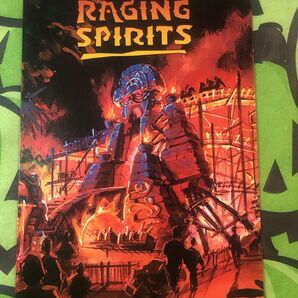 ☆ ディズニー チャレンジャー 証明書 レイジング スピリッツ ☆