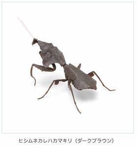 ★ミニチュアフィギュア★バンダイガチャガチャ　いきもの大図鑑かまきり02 ヒシムネカレハカマキリ　１、ダークブラウン