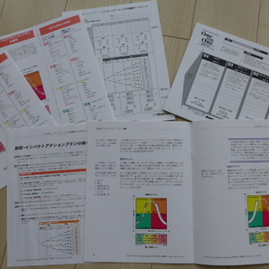 ★新品 送料無料 即決 超希少 研修ツール リーダーシップ SLⅡ理論 コーチ&講師&ファシリテーター&コンサルタントなど向け