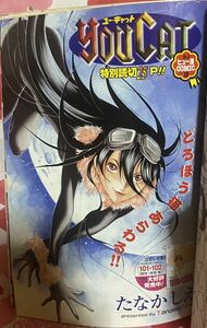 ☆ビジネスジャンプ 2005年No.05 美人怪盗 特別読切 YOU CAT ユー・キャット たなかしえ 警視総監アサミ 有賀照人 外道棋記 怨み屋本舗