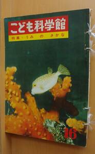 こども科学館 1961年16号 うみのさかな/戸川幸夫x山川惣治/海の魚/昭和36年/昭和レトロ/子供科学館