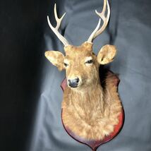 ヤフオク! -「ハンティングトロフィー インテリア」の落札相場・落札価格