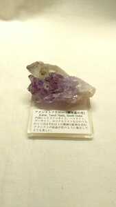 南インド産アメシストフラワー 紫水晶の花 天然石 原石 アメジスト 2月の誕生石