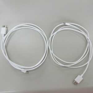 Mini DisplayPort - DisplayPort 変換ケーブル 2本セット　(か)