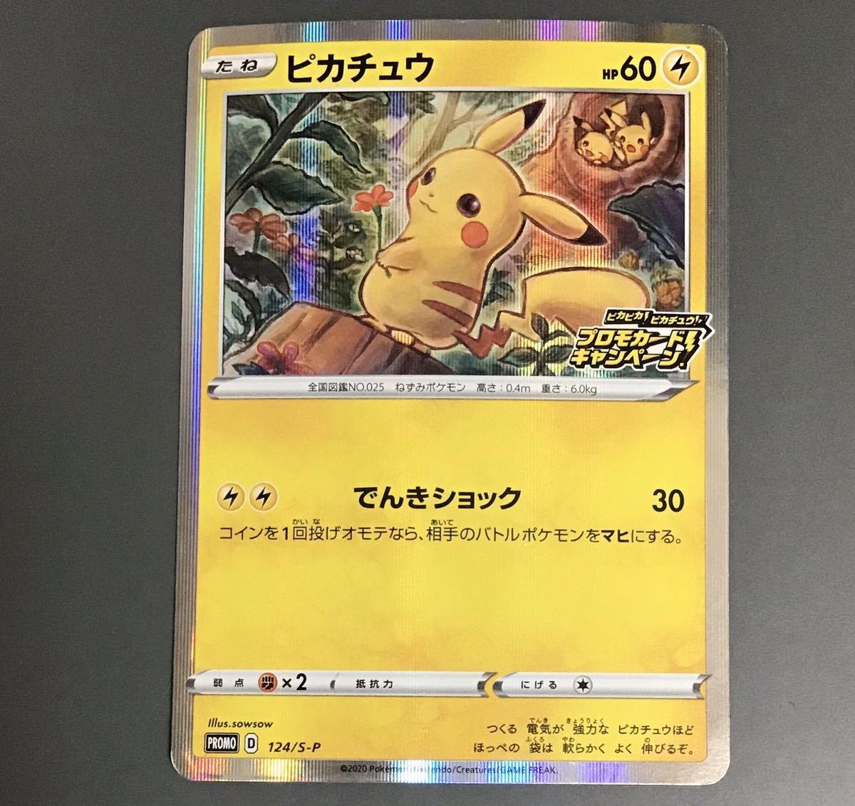 ヤフオク! -ピカチュウ プロモの中古品・新品・未使用品一覧 ヤフオク! -ピカチュウ プロモの中古品・新品・未使用品一覧