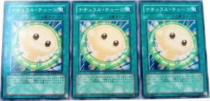 【遊戯王】ナチュラル・チューン 3枚セット ノーマル 魔法