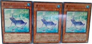 【遊戯王】貫ガエル 3枚セット ノーマル モンスター　効果