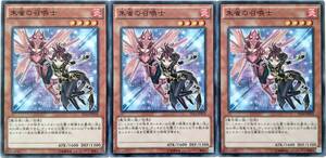 【遊戯王】朱雀の召喚士 3枚セット ノーマル モンスター　効果