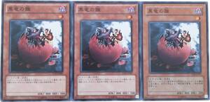 【遊戯王】黒竜の雛 3枚セット ノーマル モンスター　効果