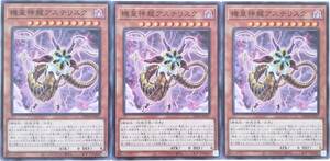 【遊戯王】機皇神龍アステリスク 3枚セット ノーマル モンスター　効果