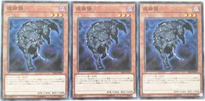 【遊戯王】疫病狼 3枚セット ノーマル モンスター　効果