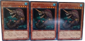 【遊戯王】カンツウツボ 3枚セット ノーマル モンスター　効果