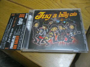 jug a billy cats / ジャガビリーキャッツ 帯付CD GYPSY RUSTIC BAND 