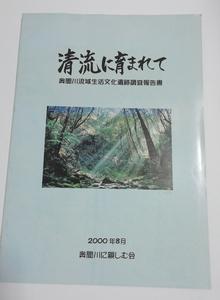 △送料無料△　清流に育まれて　奥間川流域生活文化遺跡調査報告書【沖縄・琉球・やんばる・文化】