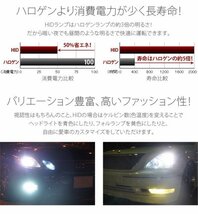 07エルフ M/C後 H21.4〜 D2C 35W トラック用 ヘッドライト 純正交換用HIDバーナー 24V 車検対応 フィリップス キセノン 6000K いすゞ ISUZU_画像3