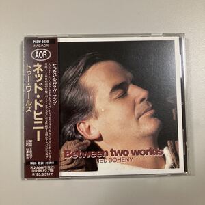 【洋楽4】貴重なCDです！　ned doheny　ネッド・ドヒニー　国内盤　Between two worlds トゥー・ワールズ