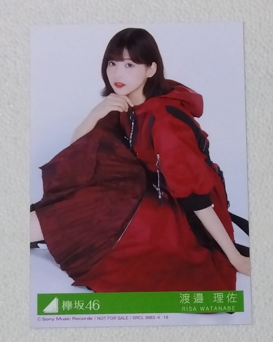 渡邉理佐 生写真5 欅坂46 非売品, タレントグッズ, 写真