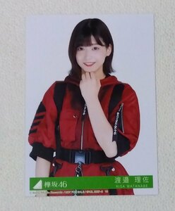 Art hand Auction 渡邉理佐 生写真4 欅坂46 非売品, タレントグッズ, 写真