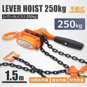 レバーホイスト 0.25トン チェーンホイスト 250kg 荷締め ジャッキ チェーン ガッチャ チェーンブロック CE規格品