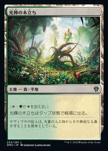 MTG ■土地/日本語版■ 《光輝の木立ち/Radiant Grove》★FOIL★ 団結のドミナリア DMU