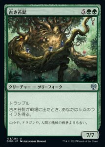 MTG ■緑/日本語版■ 《古き苔髭/Mossbeard Ancient》★FOIL★ 団結のドミナリア DMU