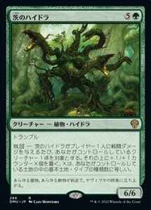 MTG ■緑/日本語版■ 《茨のハイドラ/Briar Hydra》団結のドミナリア DMU