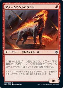 MTG ■赤/日本語版■ 《アクームのヘルハウンド/Akoum Hellhound》★FOIL★ゼンディカーの夜明け ZNR