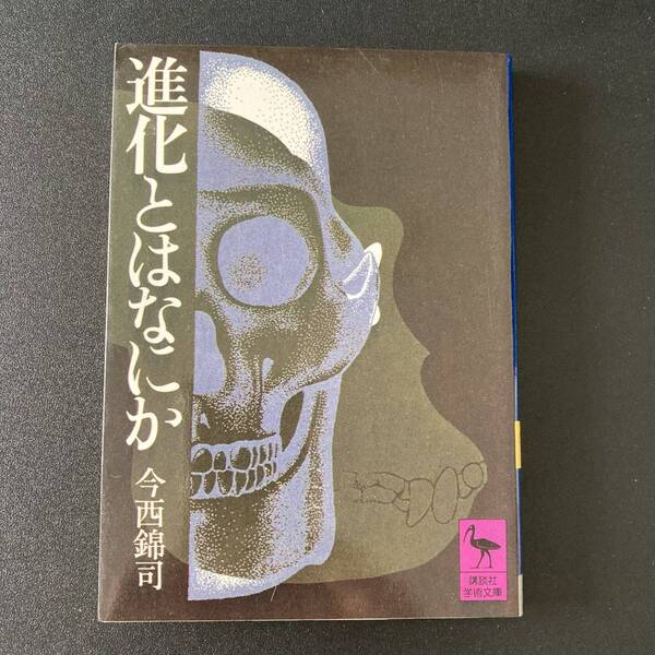 進化とはなにか (講談社学術文庫) / 今西 錦司 (著)