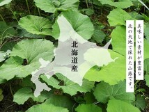 山ぶき水煮 100g×2袋【北海道産】古くから日本人に親しまれてきた野菜を春の味覚として食卓にいかがでしょうか。山蕗 フキ 山の幸 山菜_画像2