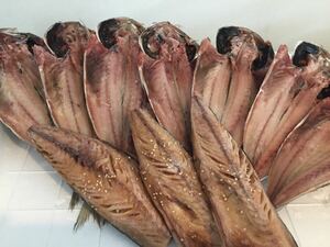 d[ free shipping ] Shizuoka prefecture Numazu name production . dried 7 tail + futoshi flat . Shikoku . production flat mackerel soy sauce dried 3 sheets 