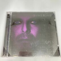 【レア　希少】David Bowie / OPEN THE DOG 2CD_画像1