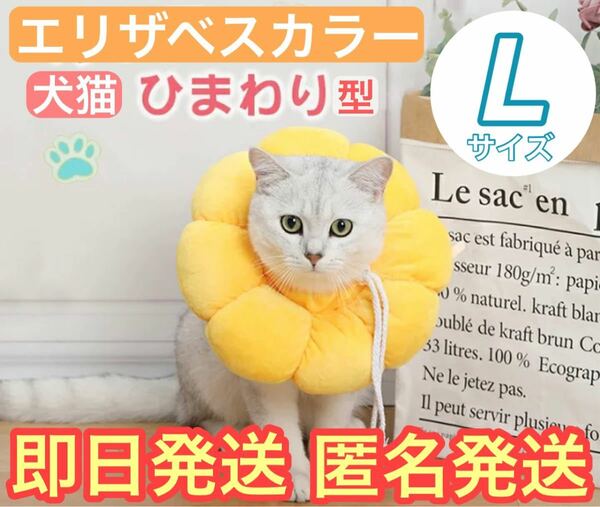 【即日発送】Lサイズ　エリザベスカラー 手術後 小動物 犬 猫　去勢 黄色 にゃんこ ワンちゃん 小動物 あったか 寒さ対策