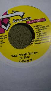 美哀愁One Drop track Tears Riddim Single 3枚Set from Arrows Anthony B Daville Lukie D