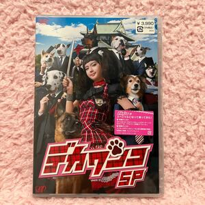 未開封 多部未華子/手越祐也 デカワンコSP 初回封入特典付き DVD