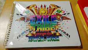 EXILE LIVE TOUR 2012 ツアーパンフレット　写真集