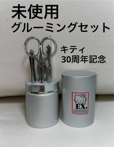 【新品　未使用】 30周年　ハローキティ　グルーミングセット　ネイルケア　身だしなみセット　キティエックス　30周年記念　レア