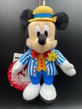 196 TDS 13周年ミッキーマウス ぬいぐるみバッジ TDS TDL TDR ディズニーランド バッチ　未使用 タグ付き ぬいば_画像1